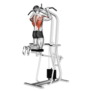 assisted pull-up animation
