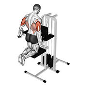 assisted triceps dip (kneeling) animation