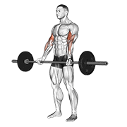 barbell curl animation