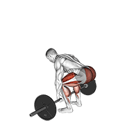 barbell deadlift animation