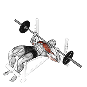 barbell decline bench press animation