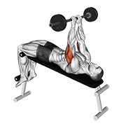 barbell decline close grip to skull press animation