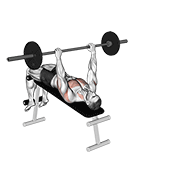 barbell decline wide-grip pullover animation