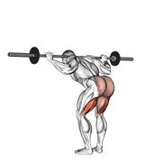 barbell good morning animation