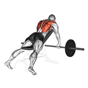 barbell incline row animation