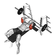 barbell lying extension animation