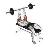 barbell lying triceps extension animation