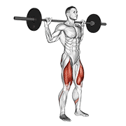 barbell narrow stance squat animation