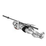 barbell one arm floor press animation
