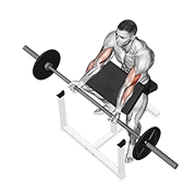 barbell preacher curl animation