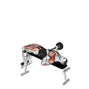 barbell press sit-up animation