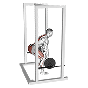 barbell rack pull animation