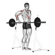 barbell rear delt raise animation