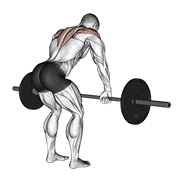 barbell rear delt row animation