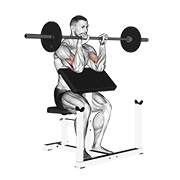 barbell reverse preacher curl animation