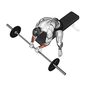 barbell reverse wrist curl animation