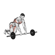barbell rollerout animation
