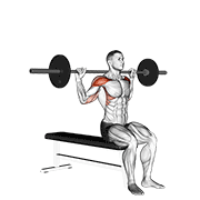 barbell seated behind head military press animation