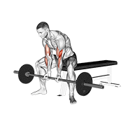 barbell seated close-grip concentration curl animation