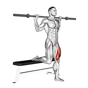 barbell single leg split squat animation