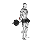 barbell standing back wrist curl animation