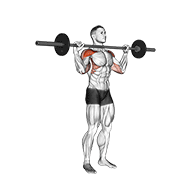 barbell standing bradford press animation