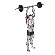 barbell standing overhead triceps extension animation