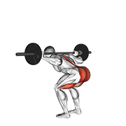 barbell stiff leg good morning animation