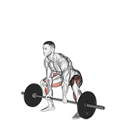 barbell sumo deadlift animation