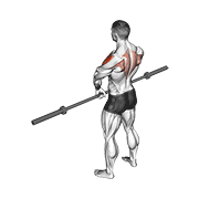 barbell upright row v. 3 animation