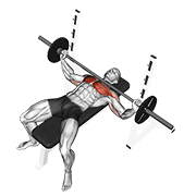 barbell wide bench press animation