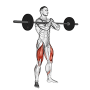 barbell zercher squat animation