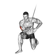 cable concentration extension (on knee) animation