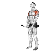 cable front raise animation