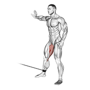 cable hip adduction animation