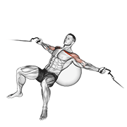 cable incline fly (on stability ball) animation