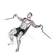 cable incline fly animation