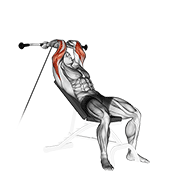 cable incline triceps extension animation