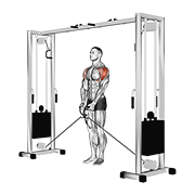 cable lateral raise animation