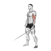 cable one arm curl animation
