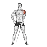 cable one arm lateral raise animation