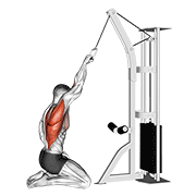 cable one arm straight back high row (kneeling) animation