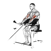 cable preacher curl animation