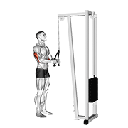 cable pushdown (with rope attachment) animation