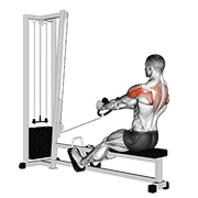 cable rear delt row (stirrups) animation