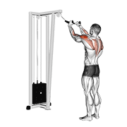 cable rear delt row (with rope) animation