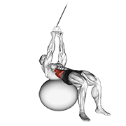 cable russian twists (on stability ball) animation