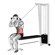cable seated crunch animation