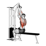 cable seated high row (v-bar) animation