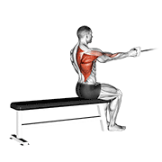 cable seated one arm alternate row animation